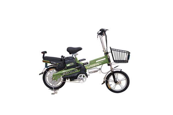 刚买的绿能电动车自行车灵悦,型号tdr677z能在